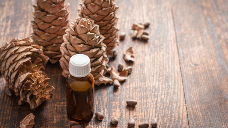 Tinh dầu thông đỏ có tác dụng gì​? Cách sử dụng hiệu quả 3