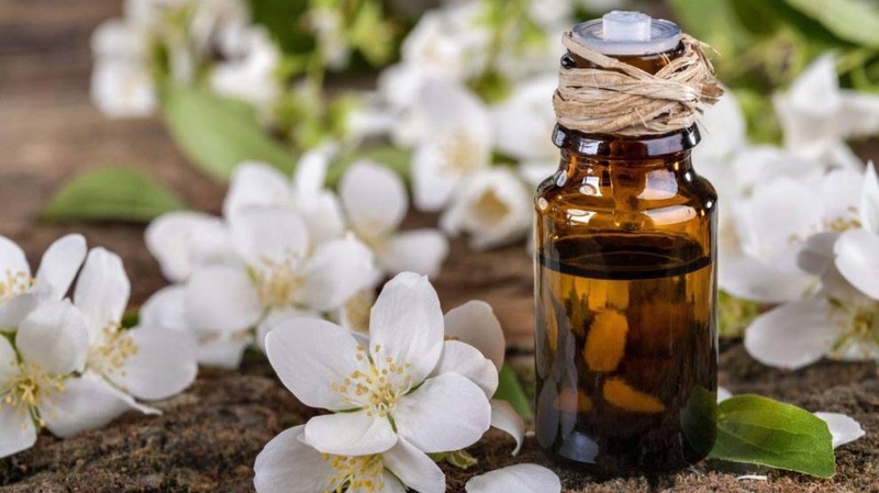 Gợi ý tinh dầu tốt cho sức khỏe không thể bỏ qua 3