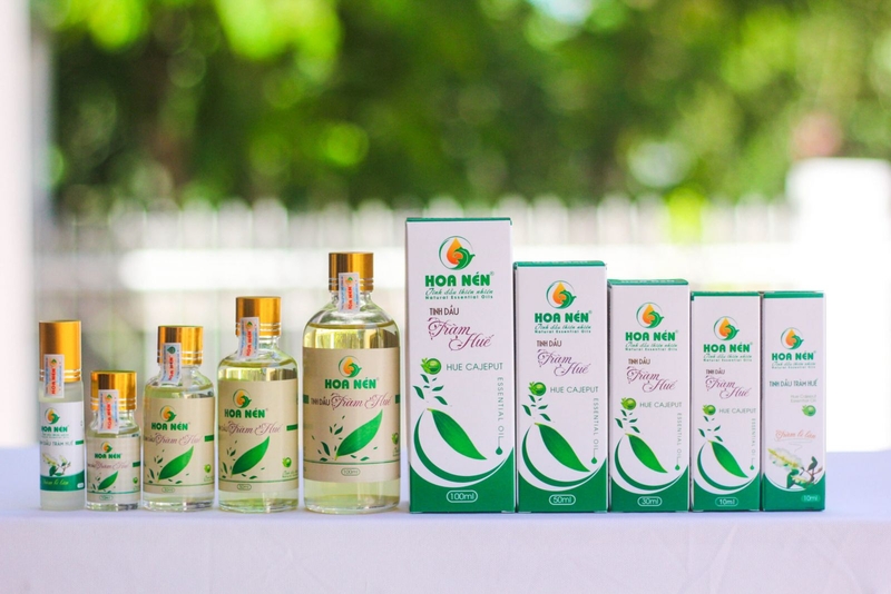 Tinh dầu tràm Huế loại nào tốt nhất hiện nay? 3