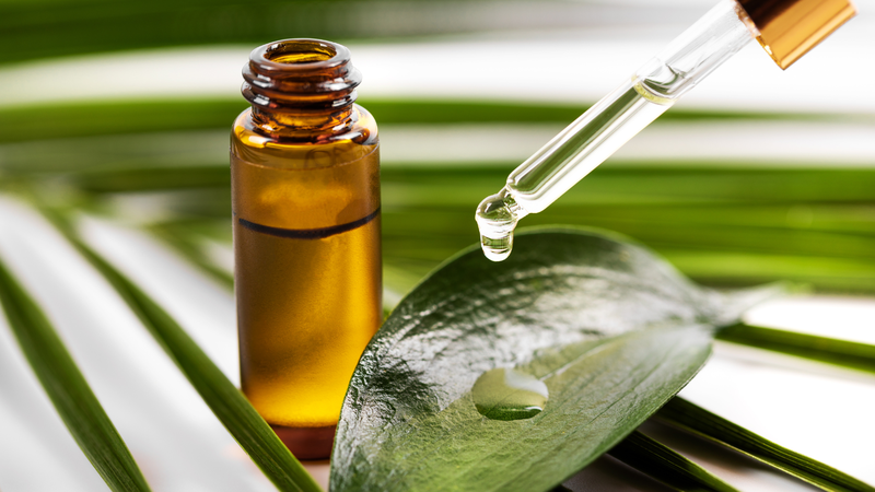 Tinh dầu tràm trà: 6 công dụng tuyệt vời trong làm đẹp 1