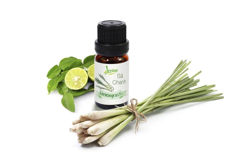 tinh dầu tự nhiên làm mờ vết rạn da  3