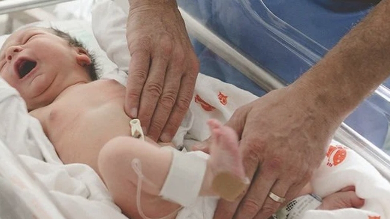 tinh-hoan-an-co-sinh-con-duoc-khong 2\