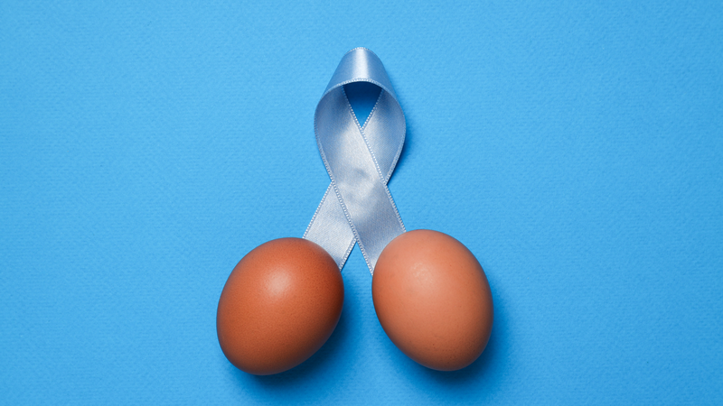 Tinh hoàn là gì? Cấu tạo, chức năng và các bệnh lý nam giới cần biết 2