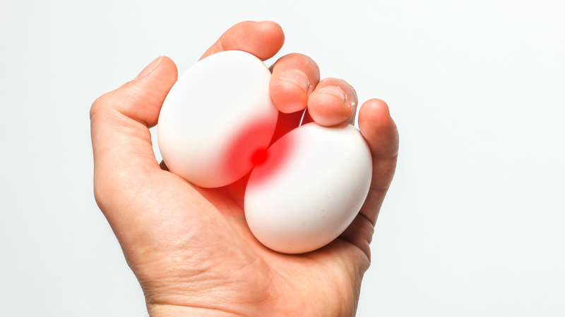 Tinh hoàn là gì? Cấu tạo, chức năng và các bệnh lý nam giới cần biết 5