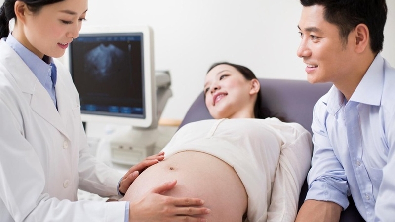 Tĩnh mạch rốn: Cấu trúc, chức năng và những điều cần biết 4