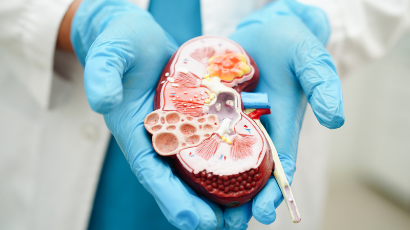 Mức lọc cầu thận trong thực hành lâm sàng còn được sử dụng để theo dõi tiến triển bệnh