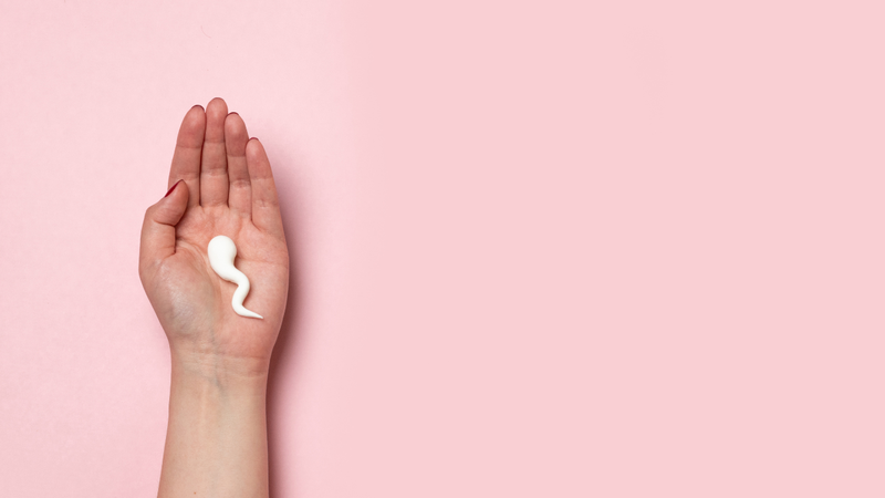 Tinh trùng: Cấu tạo, đặc điểm, chức năng của tinh trùng 5