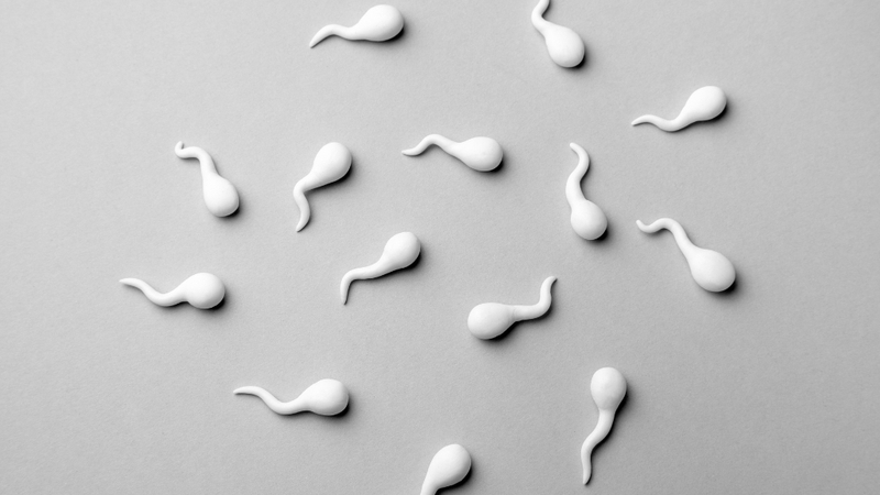 Tìm hiểu thông tin chi tiết tinh trùng đặc là gì