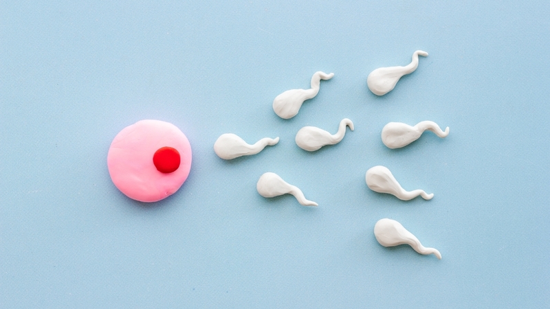 Tình trạng tinh trùng đặc kéo dài có thể giảm khả năng thụ thai