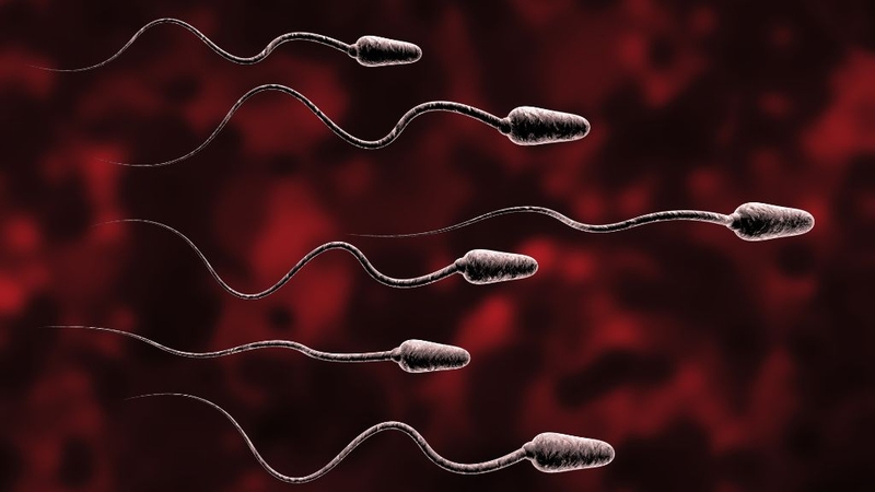 Tinh trùng đặc như thạch có sao không? 1