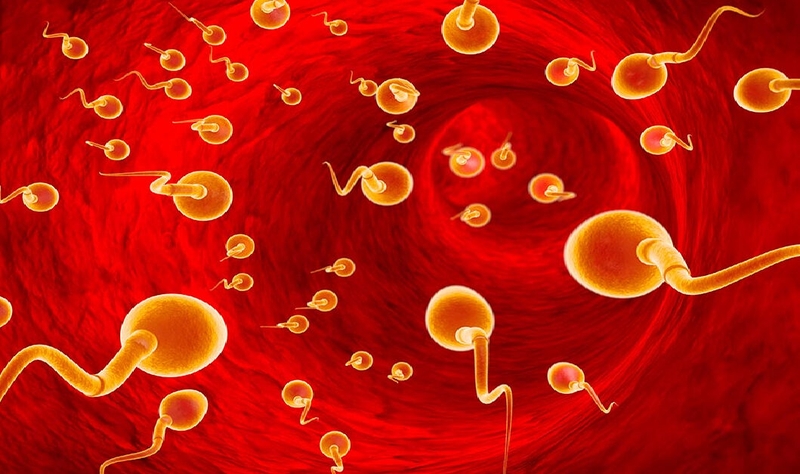 Tinh trùng dị dạng&nbsp;là tình trạng tinh trùng có những thay đổi về cấu trúc cũng như kích thước