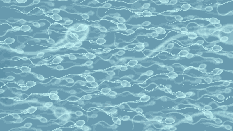 Tinh trùng được tạo ra từ tủy sống: Thực hư thế nào 1