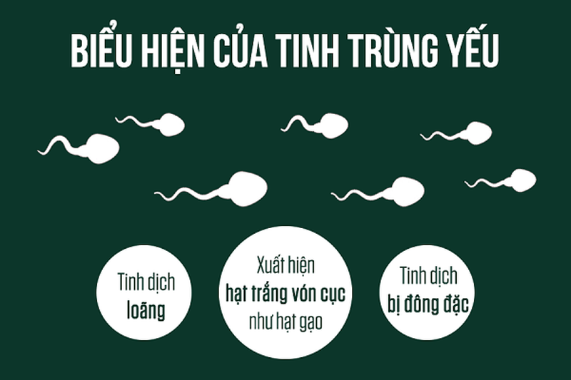 Biểu hiện của tinh trùng yếu