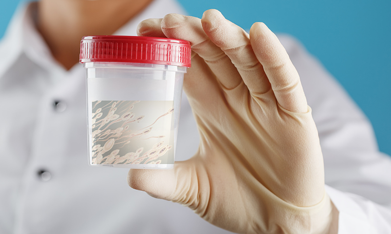 Điều trị bằng spermq giúp tăng số lượng tinh trùng