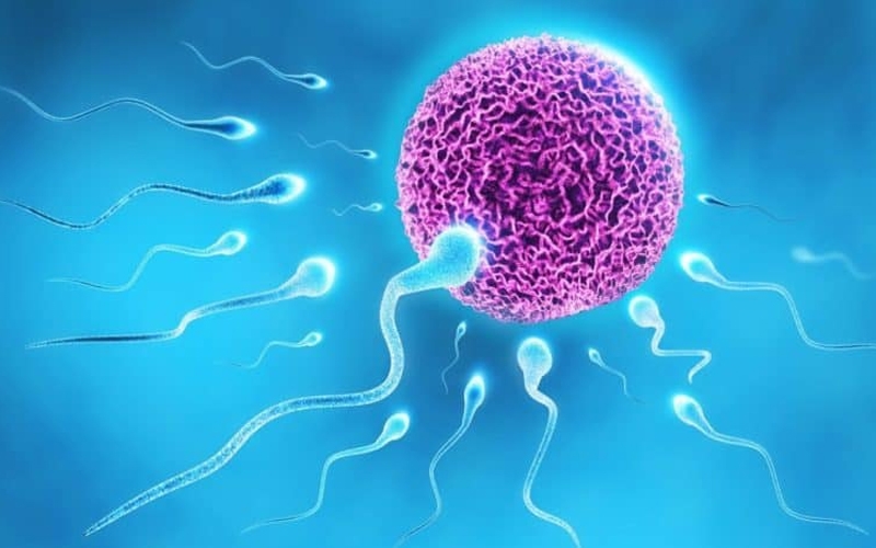 Nam giới bị tinh trùng loãng có mang thai được không còn phụ thuộc vào nhiều yếu tố khác nhau