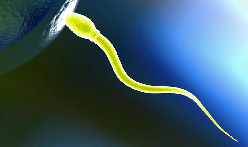 Tinh trùng màu vàng là bệnh gì? Tinh trùng màu vàng có thụ thai được không? 3