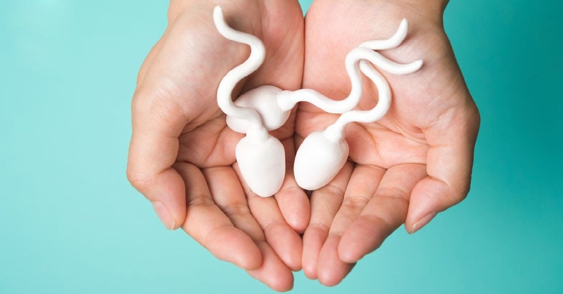 Tinh trùng yếu có chữa được không là nỗi lo của các cánh mày râu hiện nay