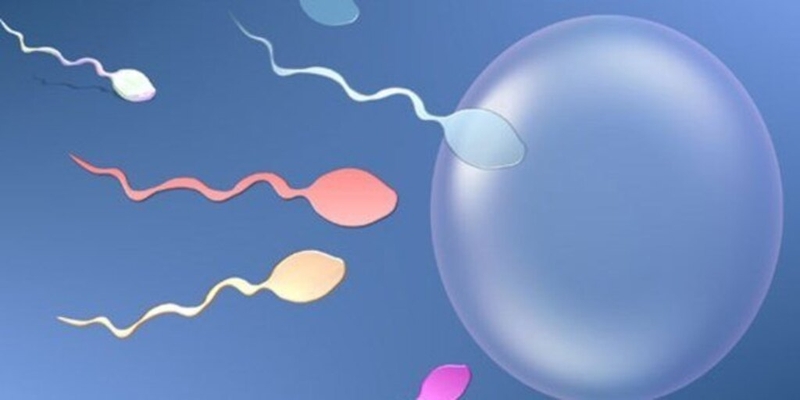 Tinh trùng yếu gây sảy thai hay không? 1