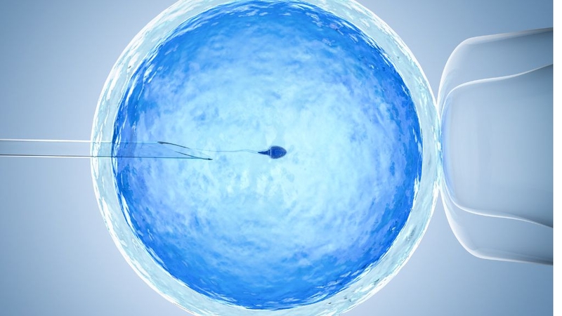 tinh-trung-yeu-nen-lam-iui-hay-ivf-huong-dan-lua-chon-dieu-tri-phu-hop 1