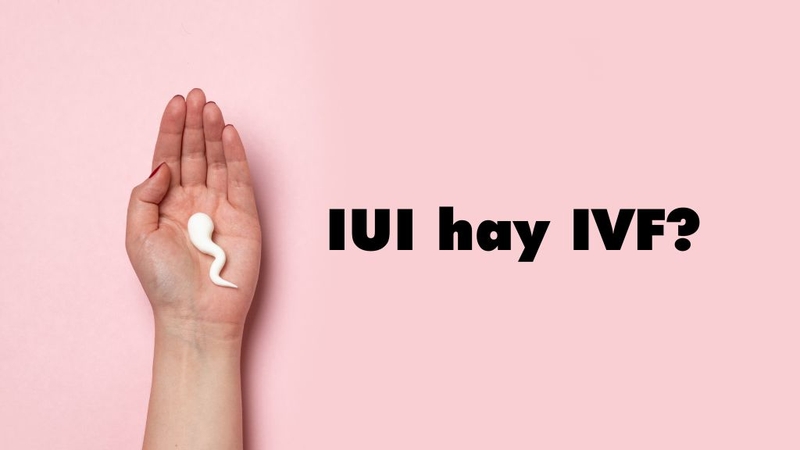 tinh-trung-yeu-nen-lam-iui-hay-ivf-huong-dan-lua-chon-dieu-tri-phu-hop 3