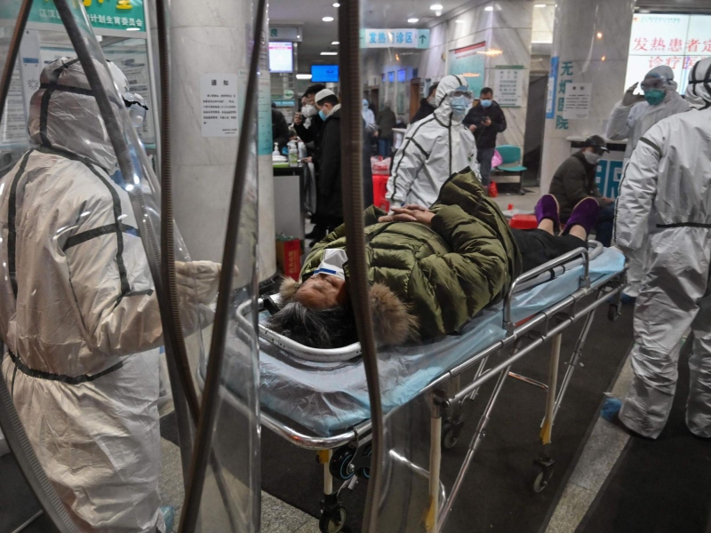 Tốc độ nhân lên của virus SARS-CoV-2 trong mô phổi 3