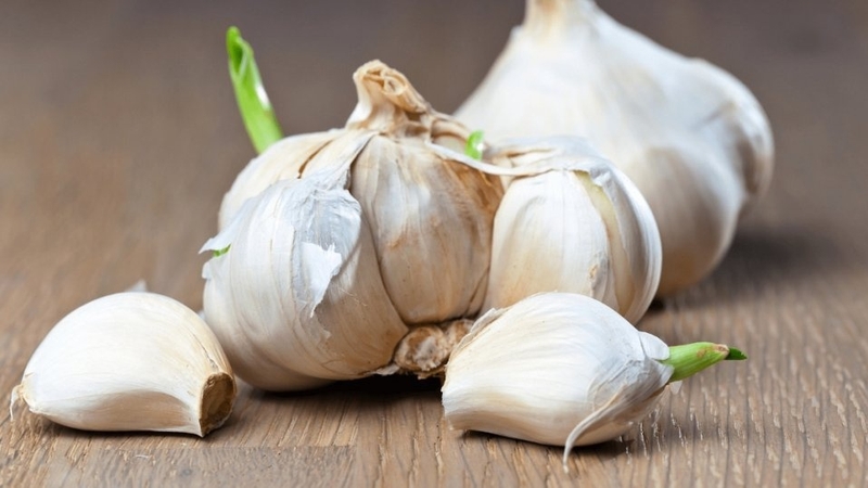Tỏi mọc mầm có ăn được không? Những lưu ý khi ăn tỏi mọc mầm 4