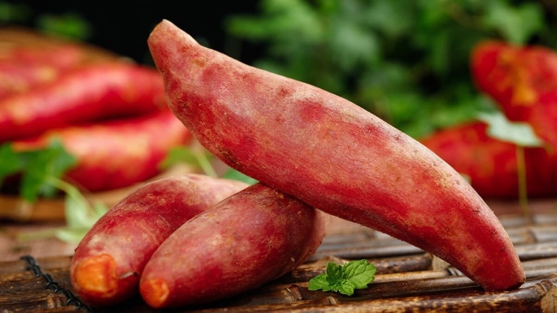 Tới tháng ăn khoai lang được không? Những điều cần lưu ý 2