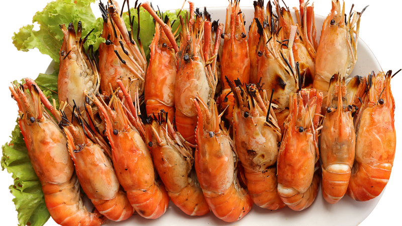 Tôm càng xanh là nguồn cung cấp dưỡng chất phong phú