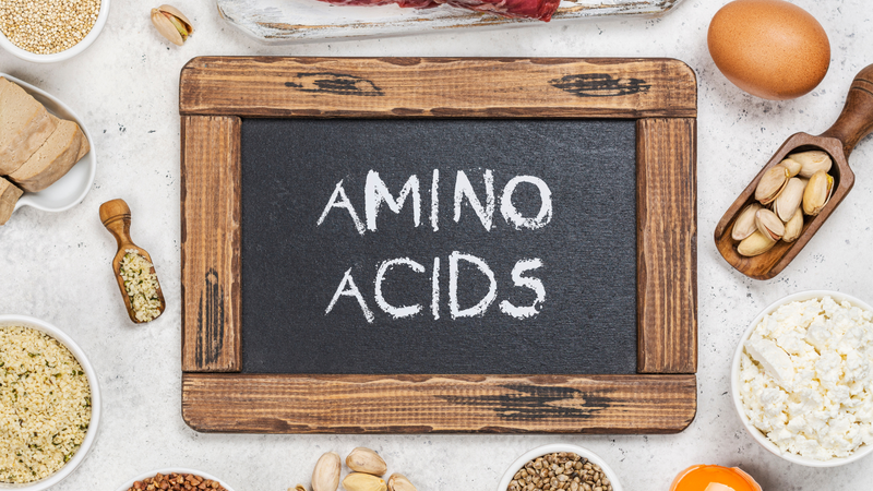 Tôm chì có hương vị thơm ngon đặc trưng nhờ các axit amin tự do