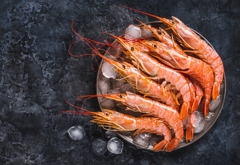 Tôm đỏ Argentina là gì? Mang lại giá trị sức khỏe nào đối với con người? - 2