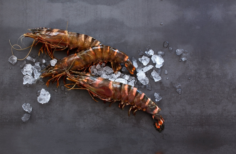 Tôm he là tôm gì? Có những lợi ích như thế nào với sức khỏe? - 1