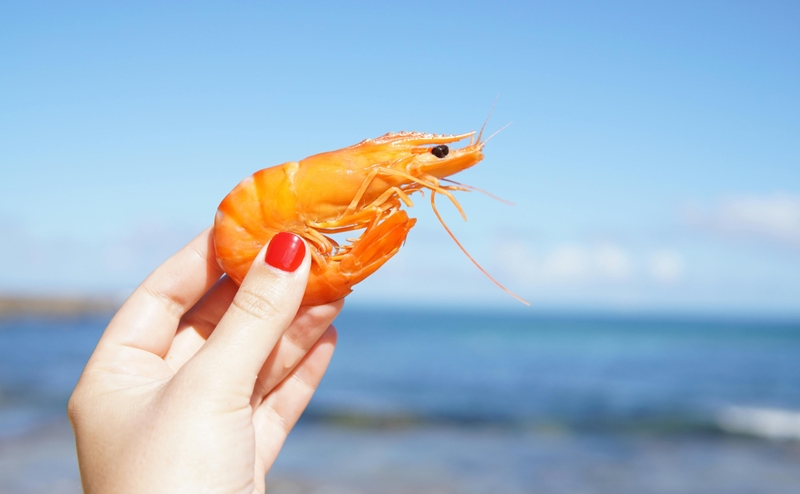 tom-rao-gia-tri-dinh-duong-va-loi-ich-suc-khoe 2