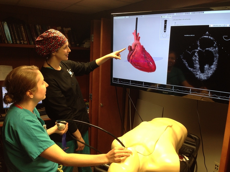 Siêu âm tim qua thực quản cho phép quan sát chi tiết hơn về hình ảnh tim và dòng máu trong tim