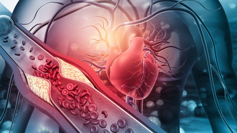 ton-thuong-mach-mau-do-tieu-duong-co-nguy-hiem-khong 3