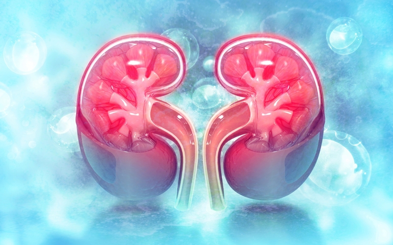 Tổn thương thận cấp (AKI) nguyên nhân do đâu? 4