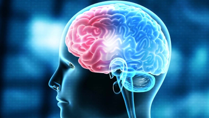 Tổn thương thần kinh: Nguyên nhân, triệu chứng và phương pháp điều trị hiệu quả 1