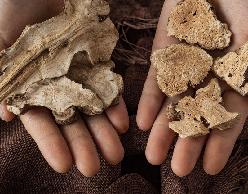 [Tổng hợp] 5 bài thuốc Đông y làm đẹp da giúp chị em đẹp hơn 3