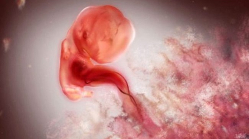 Tổng hợp 8 dấu hiệu mang thai 2 tuần tuổi mẹ nào cũng nên biết 5