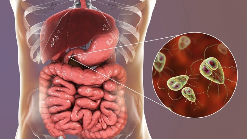 Tổng hợp các bệnh về hệ miễn dịch 2