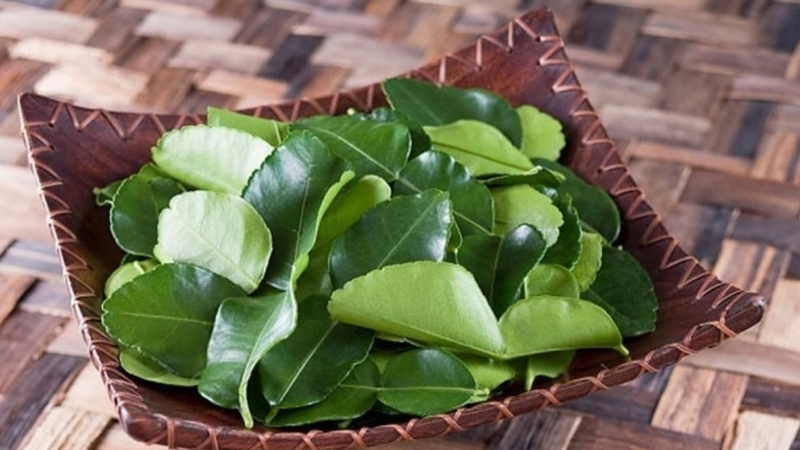 Tổng hợp các loại lá dùng để xông cảm hiệu quả tại nhà 1