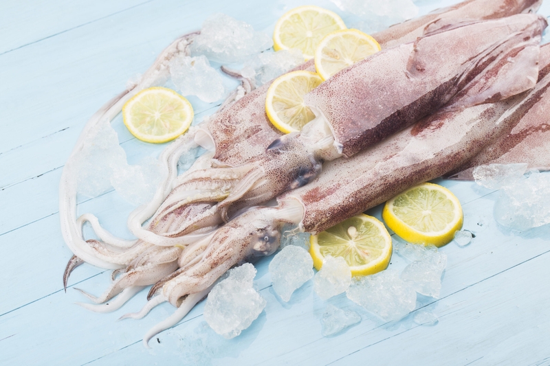 Tổng hợp các loại mực ngon, bổ và phổ biến hiện nay 3