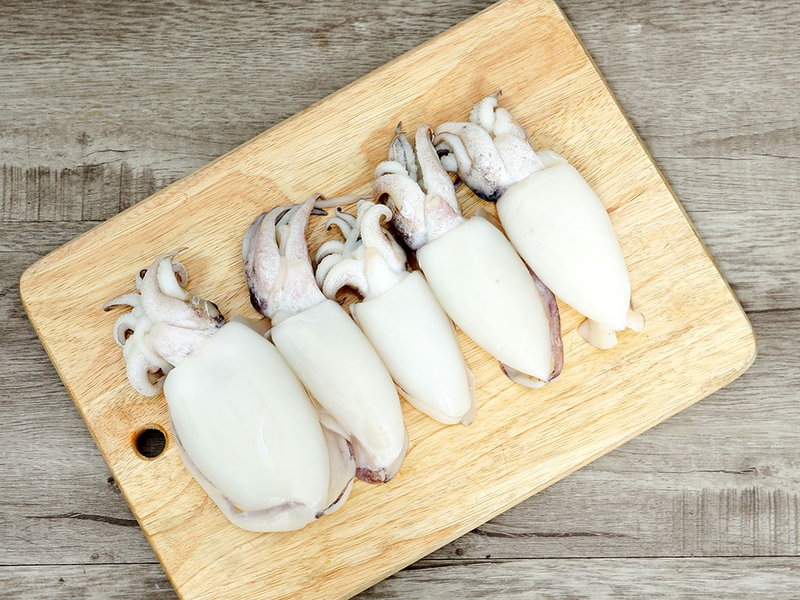 Tổng hợp các loại mực ngon, bổ và phổ biến hiện nay 5