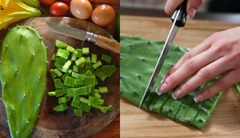 Kinh nghiệm chữa gai cột sống bằng&nbsp;xương rồng 3