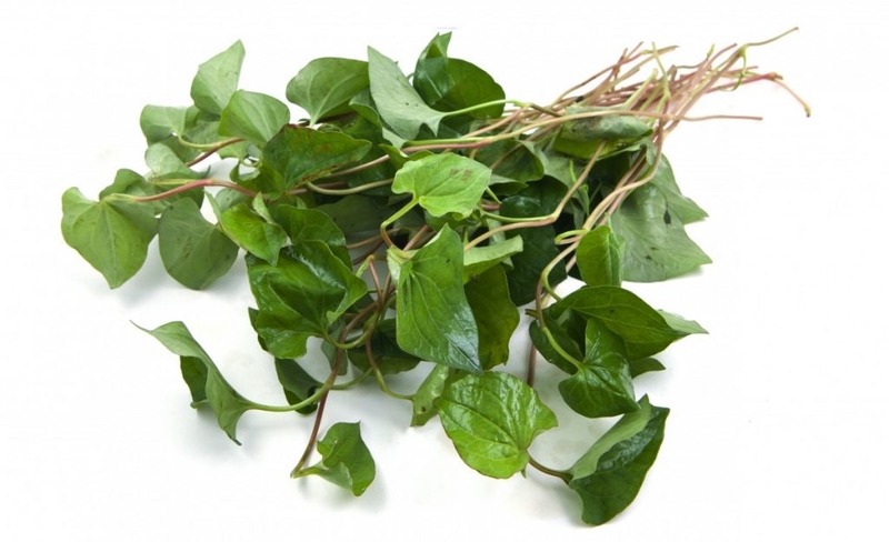 Tổng hợp mẹo dân gian giúp trẻ hạ sốt nhanh