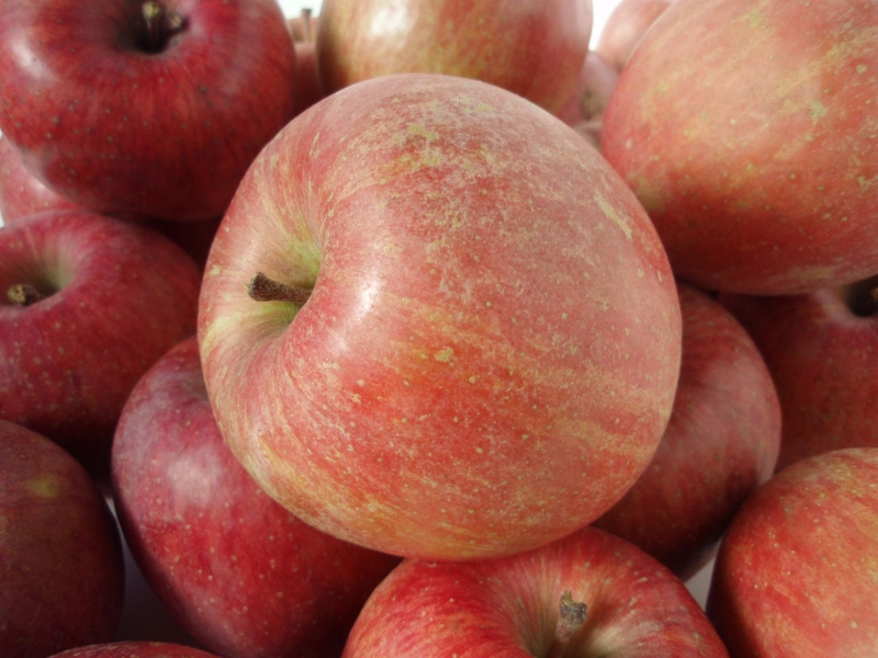 Tổng hợp một số loại trái cây tốt cho người bệnh lao phổi