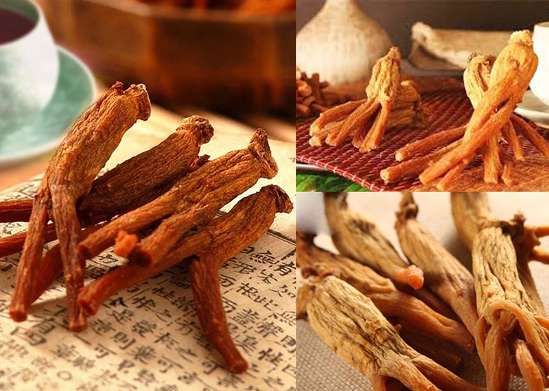 Tổng hợp những cách bảo quản sâm tươi&nbsp;3