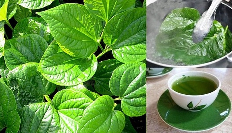 Top 03 loại thuốc đông y trị tê bì chân tay cực hiệu quả 2