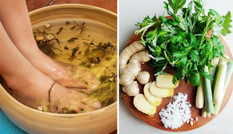 Top 03 loại thuốc đông y trị tê bì chân tay cực hiệu quả 3