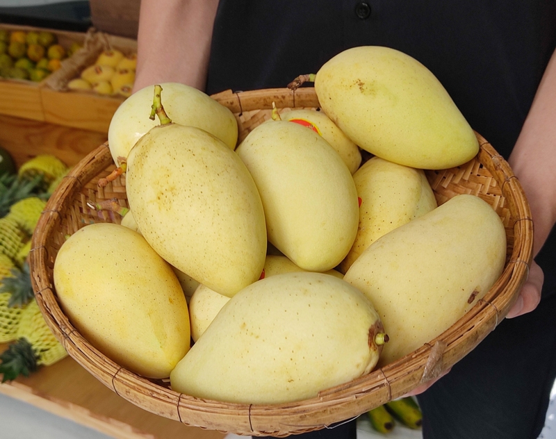 Top 10 các loại xoài ngon và phổ biến tại Việt Nam 1