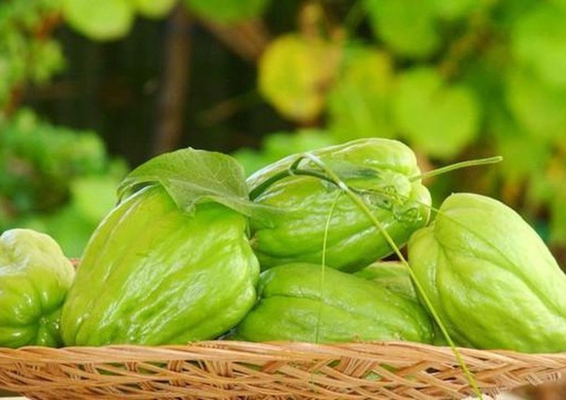 Top 10 lợi ích của quả su su với sức khỏe và sắc đẹp không phải ai cũng biết3